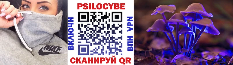 Галлюциногенные грибы прущие грибы  Купить где  Гусиноозёрск 